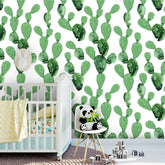 Cactus  Wallpaper